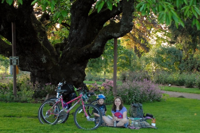 Bike Picnic under Eugene Skinner's Cherry Tree